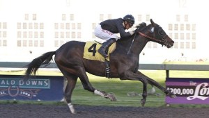 Multiple stakes winner Carving