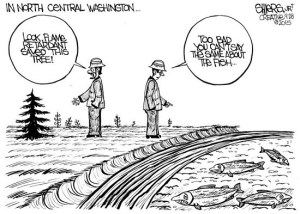 Does flame retardant really help?