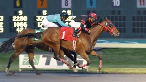 Champali Lace and jockey Leonel Camacho-Flores edge Seattle Game in the feature race for older fillies and mares Friday at Emerald Downs. June 1