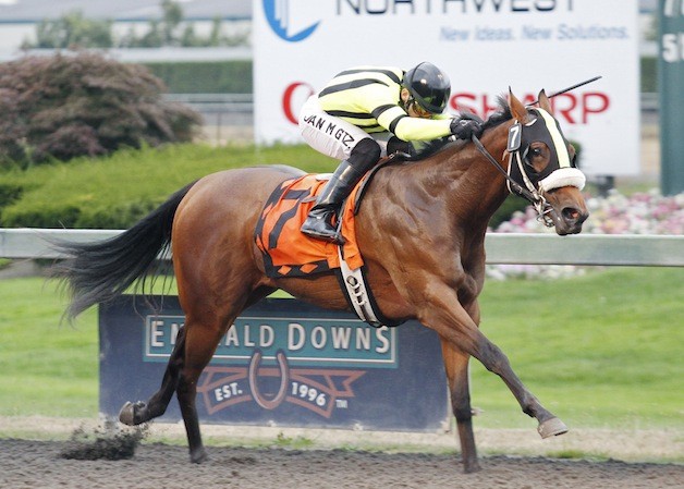 Mike and Amy Feuerborn's double stakes winner Chu and You headlines the $50
