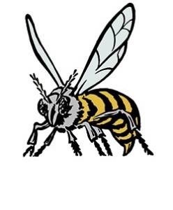 Enumclaw High Hornet