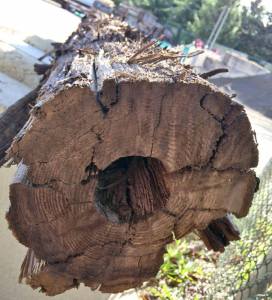 The old 'water line' found under Mason Street.