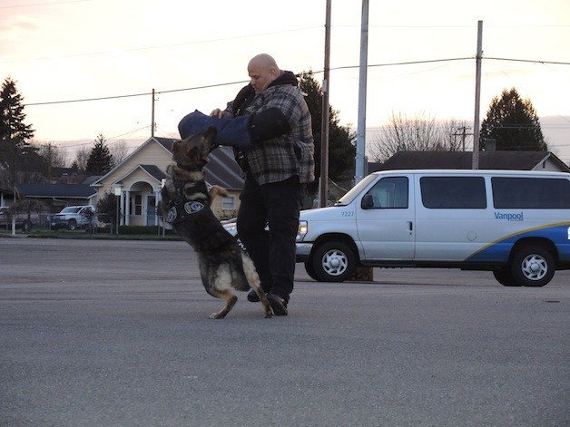 Sumner Police Officer Loren Houselog and K-9 Maverick at the Sumner Citizen's Academy March 13.