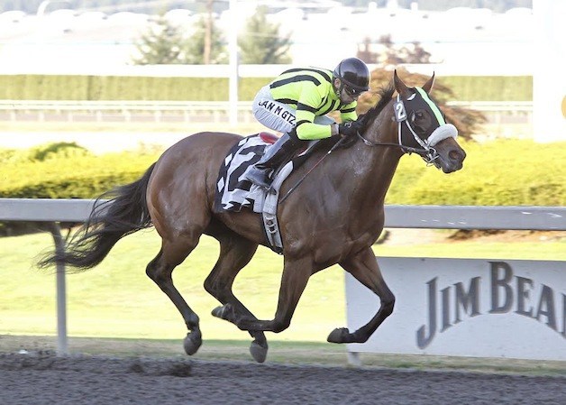 Chu and You wins the 2013 Angie C Stakes at Emerald Downs