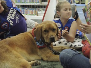Maple listens as she’s read a story by Team Raindrop
