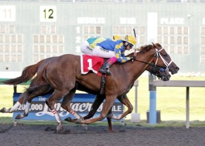Pippa Bou Peep (No. 1) and jockey Eliska Kubinova score a head victory over Seeking the Light in the $50