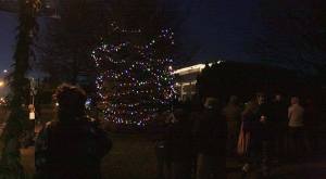 Enumclaw Christmas tree lighting
