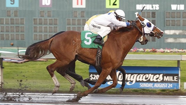 Stephanie Plum (No. 5) and jockey Leonel Camacho-Flores notch a head victory Sunday in the $17