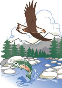 Department of Fish and Wildlife news