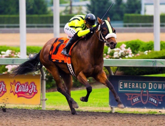 Mike & Amy Feuerborn's Chu and You