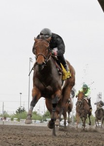 Stopshoppingdebbie and jockey Rocco Bowen roll to a stakes record in the $50