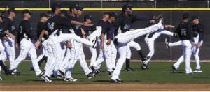 Seattle Mariner warm up before practice starts. Ken Griffey is the high kicker leading the pack.