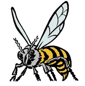 Enumclaw takes out Decatur in final minutes