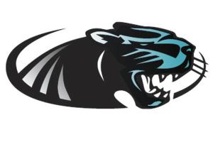 Panthers ousted from 3A football playoffs