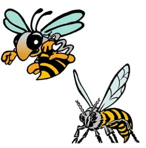 Enumclaw and White River sports news