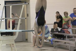 Sumner diver, swimmers head to state