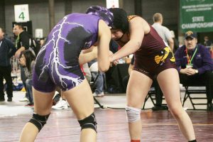 State vets lead the way for White River wrestling