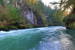 Gallery 2017 to display work of local environmentalist