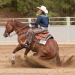 Riding talents net Cowboy scholarship