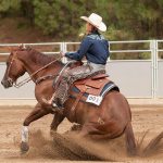Enumclaw&rsquo;s Stephanie Helsen compiled a resume packed with equestrian honors, contacted a handful of university programs and landed a scholarship offer from Oklahoma State University. Photo by Amy Masters/Scatter Creek Photography