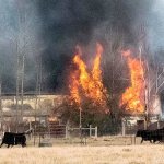 Firefighters spent seven hours putting out a fire that started in an Enumclaw barn that doubled as an apartment. Photo by Tracy Delphia.