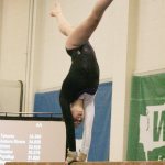 Sumner takes 7th in gymnastics; Spartans and Enumclaw swam in state