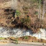 Approximately 700 to 800 tons of material were removed from the landslide on South Prairie Road East on March 16, but only 100 to 200 tons of debris came down in the landslide. Photo submitted by Pierce County Public Works Department