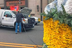 Daffodil Festival pictures | Sumner Mayor Update