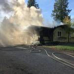 East Pierce Fire and Rescue firefighters saved one dog and two salamanders from a Bonney lake fire on Friday. Submitted image.