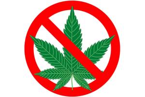 Buckley pot moratorium extended