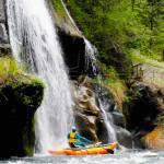 Photo by Lisa Parson.