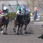 Let the racing begin