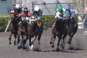 Let the racing begin