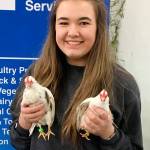 Ashley Buchholz, from the White River FFA chapter, was a champion with her chickens. Submitted photo.