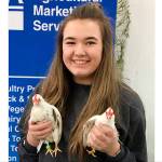 FFA students take Junior Show honors