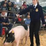FFA students take Junior Show honors