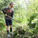 Jackson Coyle, top left, rakes up a bunch of invasive Himalayan blackberry bushes. Photo by Ray Still