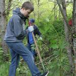 Charles Cook and Sebastian Lambert clear up more Himalayan blackberry bushes. Photo by Ray Still