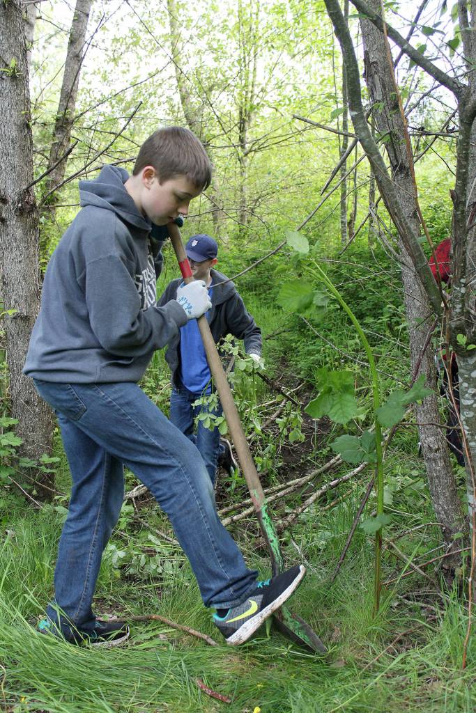 Charles Cook and Sebastian Lambert clear up more Himalayan blackberry bushes. Photo by Ray Still