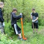 Glacier students Ty Marshall, Hunter Fray and Blake Calton wrestle with a deeply-rooted invasive plant. Photos by Ray Still