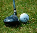 Area golfers at trio of state tourneys