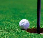 Area’s prep golfers head east for trio of state tournaments