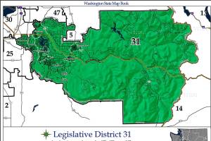 Thinking about running for office? Time is drawing near