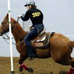 EHS equestrians rise into another season of success