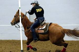 EHS equestrians rise into another season of success