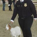 Local students will return to the 2017 King County Fair to compete in FFA competitions. File image