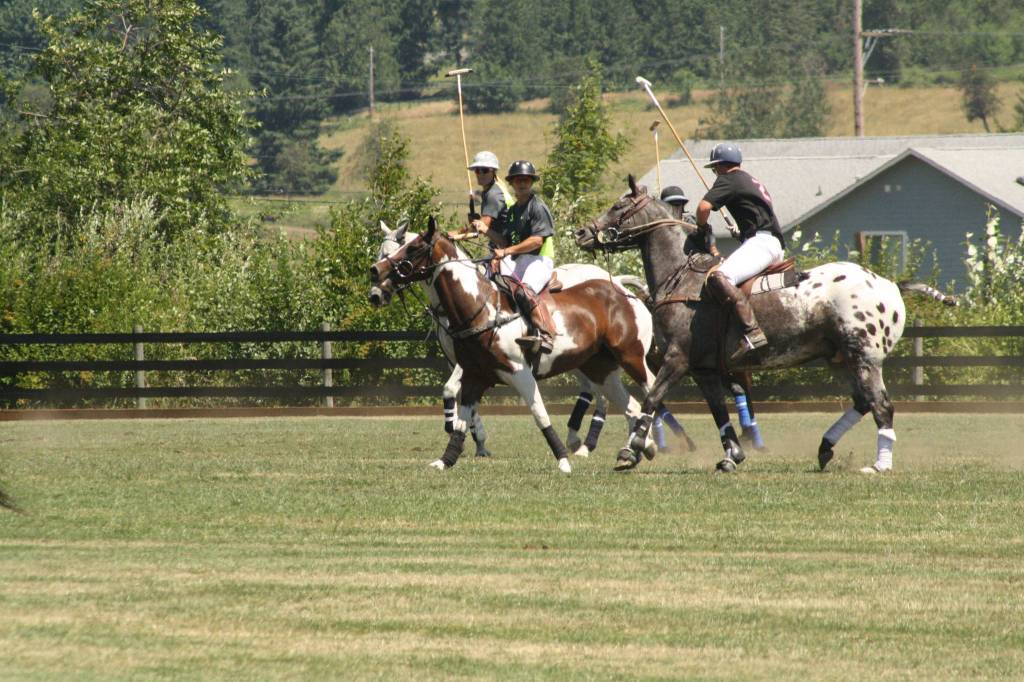Pacific Northwest Governor’s Cup polo tournament|Gallery