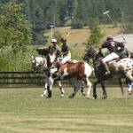 Pacific Northwest Governor’s Cup polo tournament|Gallery