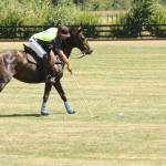 Pacific Northwest Governor’s Cup polo tournament|Gallery