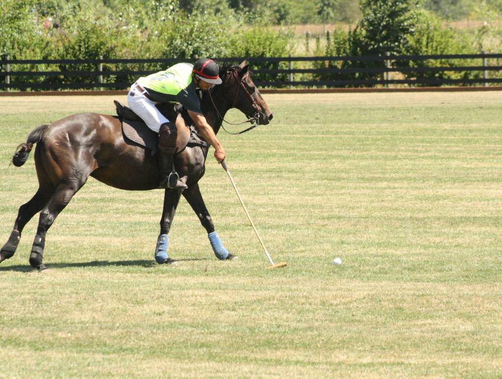 Pacific Northwest Governor’s Cup polo tournament|Gallery